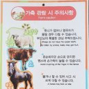 행진목장 이미지