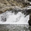 회귀(回歸) 이미지