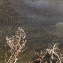 삼거대공원 이미지