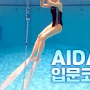 버킷위즈 이미지