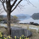 봉채국수수림점 | [내돈내산] 보령 봉채국수에 가보자!(ft. 보령 국수 맛집, 망향비빔국수, 보령 데이트, 보령 현지인...