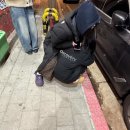 홍승애풍기인견 앞 | 어떻게든 살아가진다.