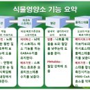 명품디톡스