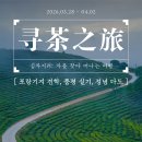 다원하개 | [2026 맹해투어 후기 ④] 寻茶之旅 : 차를 찾는 여행 - 포랑기지, 품평수업 실기, 정념다도