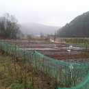 훈 농장 이미지