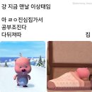 신미양꼬치 - 안양시 만안구 양화로136번길 44 | 신미양꼬치