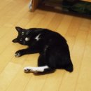 교대역 6번 출구 앞 이미지