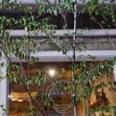 노이알트 이미지