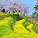 왕지마을회관 이미지