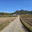 상남 버스정류장 이미지