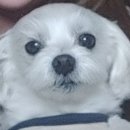 견식도락 거제시청점 이미지