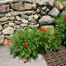 원구신마을회관 이미지