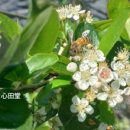 창공농장 이미지