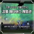 강릉스포츠 | 강릉 아이와 가볼만한곳, 강릉 메타버스 체험관 후기