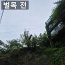 남부벌목 | 관악구 벌목 업체 위험한 나무 자르기 베기