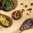 건강마을건강원 이미지