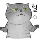 용산-이촌-528 이미지