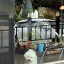 무주 마실 | 무주 카페| 무주마실 내돈내먹 후기