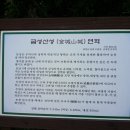 금성문