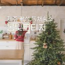 봄빛귤밭 네이버블로그