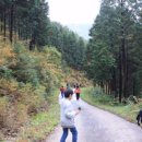 봉정 농촌체험 휴양마을 이미지