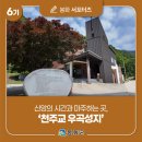 다덕약수관광지 | [제6기 봉화군 서포터즈] 신앙의 시간과 마주하는 곳, 천주교 우곡성지 | 이황준 님