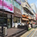 (주)범양버스 | 인천 서구 | 두바이초콜릿🍫 셀케이크🍰