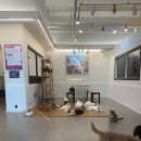 천지2목장 | {일산 카페} 좋은 향이 나는 개냥이들에게 둘려 쌓여 있을 수 있는 고양이 카페, 냥떼목장