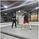 동탄센트럴복싱짐 이미지