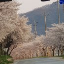 아산그라시아