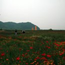 나주영상테마파크 이미지