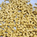 (주)펫앤바이오 이미지