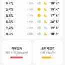 Traditional Fitness SM휘트니스 이미지