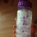 포레스트 다이어트 이미지