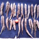 도마1리 이미지