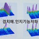 윤허브