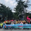 사단법인 한국숲유치원협회