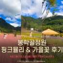 용산리2 소교량 24 | 충청북도 음성 10월 가볼만한곳 | 봉학골산림욕장 봉학골정원 핑크뮬리 (주차·실시간 개화상황·포토존)