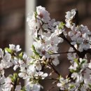 금솔(유) 이미지