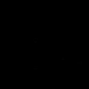 별빛하루 이미지