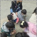 늘푸른몬테소리어린이집 이미지