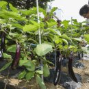 합정주공3 이미지