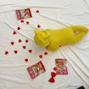 강서구-50 | 강서구 50일 촬영 스튜디오 후기 / 베베미스튜디오 단품 진행