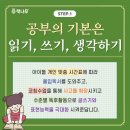 책나무버드내독서학원
