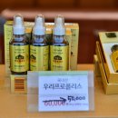 위델스프로폴리스
