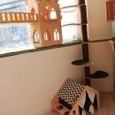 고양이 무마취미용&호텔 무냥무냥 부산서면점 이미지