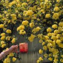 교리2길-3 이미지