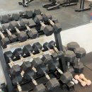 프리원핏 부천점 | 역곡 일일 헬스장 프리원핏 초강력추천