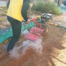 현동초등학교(병설유치원) 이미지