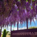 천년의 소리 가야금 | 영동세계국악엑스포 다녀온 후기 케데헌과 함께하는 국악엑스포 서울에서 영동역 셔틀 영동국악엑스포...